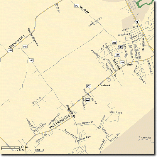 Map of South Rincon Georgia
